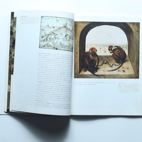 全画集 ブリューゲル 1525～1569 農民,道化, 悪魔 / TASCHEN(1999)