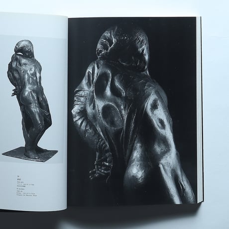 ファッツィーニ展 図録 / ファッツィーニ展実行委員会(1990)