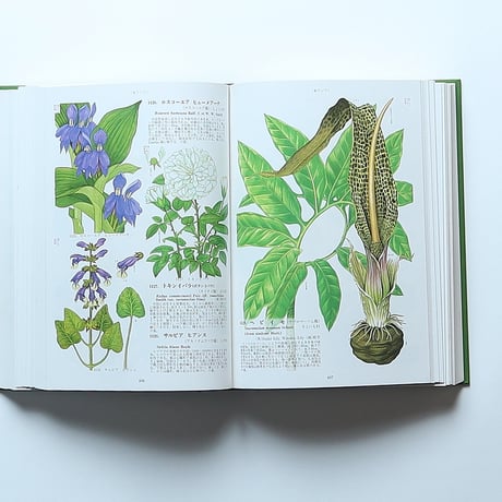 原色世界植物大図鑑 / 北隆館(1986）