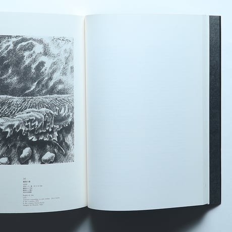 ファッツィーニ展 図録 / ファッツィーニ展実行委員会(1990)