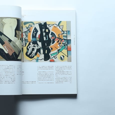 20世紀美術の挑戦 ルートヴィヒ美術館展 図録 / 横浜美術館(1995)