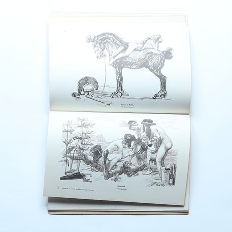 MORE DRAWINGS BY HEINRICH KLEY / dover（1962）