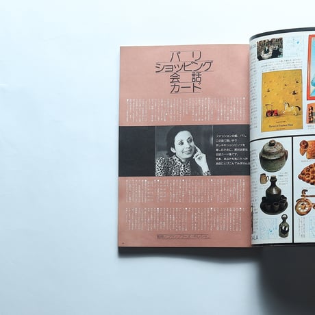 ヨーロッパの本　1976年版ヨーロッパの旅と美しい暮らし全ガイド (若い女性DELUXE)/講談社(1976)