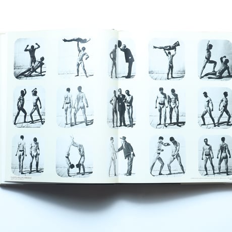 PHOTOGRAPHY AS FINE ART ファインアート 世界写真全集 新装版(1) / 集英社(1982)