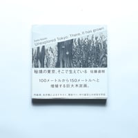 秘境の東京、そこで生えている Unexplored Tokyo: There, It has grown / 東京キララ社(2017)