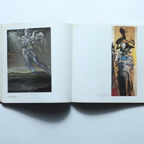 ダリ展　図録 / 北九州市美術館（1982）
