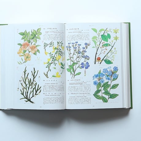 原色世界植物大図鑑 / 北隆館(1986）