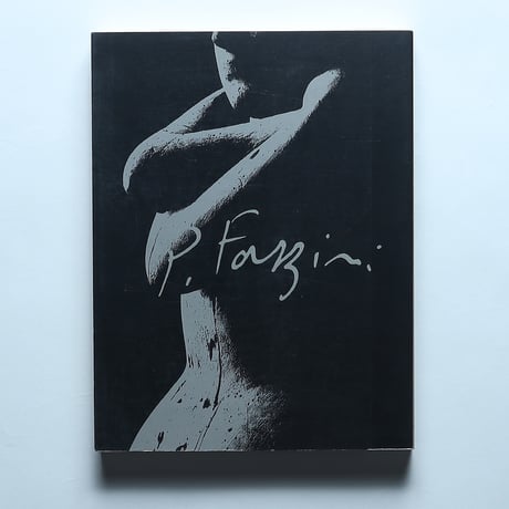 ファッツィーニ展 図録 / ファッツィーニ展実行委員会(1990)