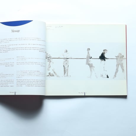 ロバート・ハインデル作品集 Robert Heindel the collection / Art Obsession Inc.(1995)