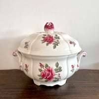薔薇のスーピエール / リュネビル