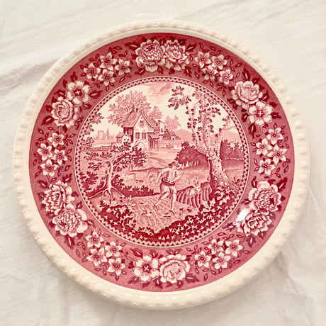 ドイツの風景画のプレート / ビレロイボッホ Villeroy & Boch