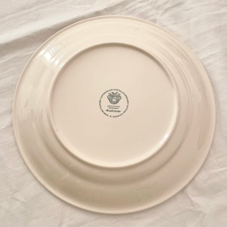 ドイツの風景画のプレート / ビレロイボッホ Villeroy & Boch