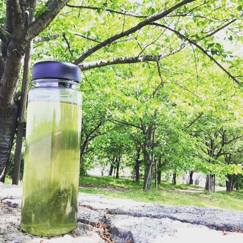 知覧茶シルキーパック20袋】 産地の贅沢シリーズ！ ～コクのある知覧茶