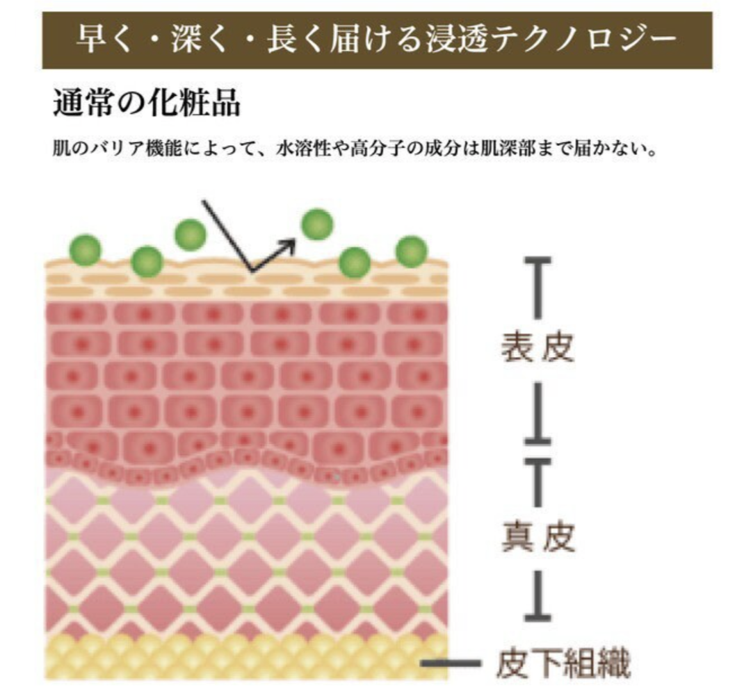 ヒト幹細胞培養液配合のSCブースターバイオセルロースフェイスマスク