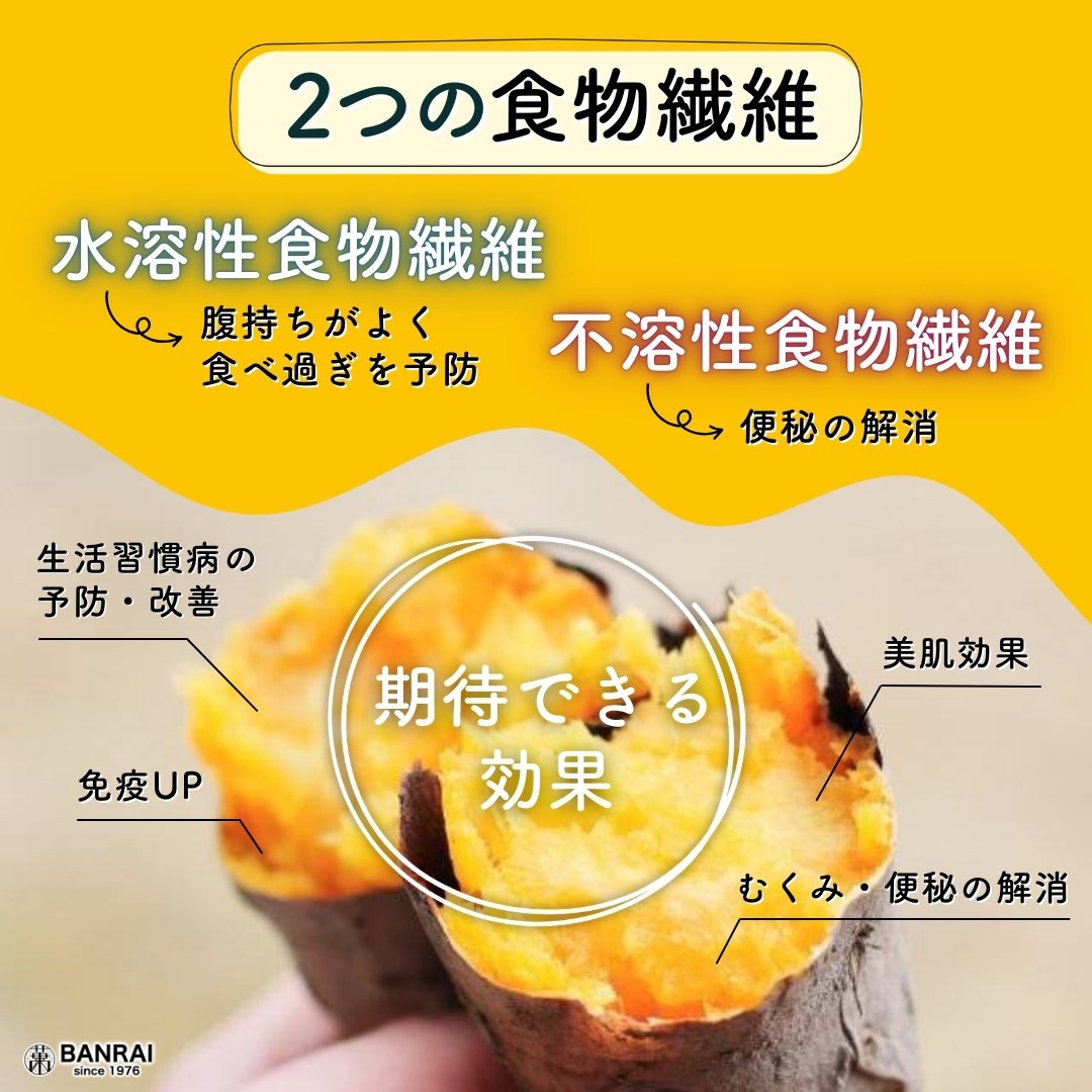 おいもぱんページ このイベントは終了しました】静岡おいも万博 【WOMO】