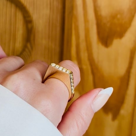 Fujiko BASIC  Ring