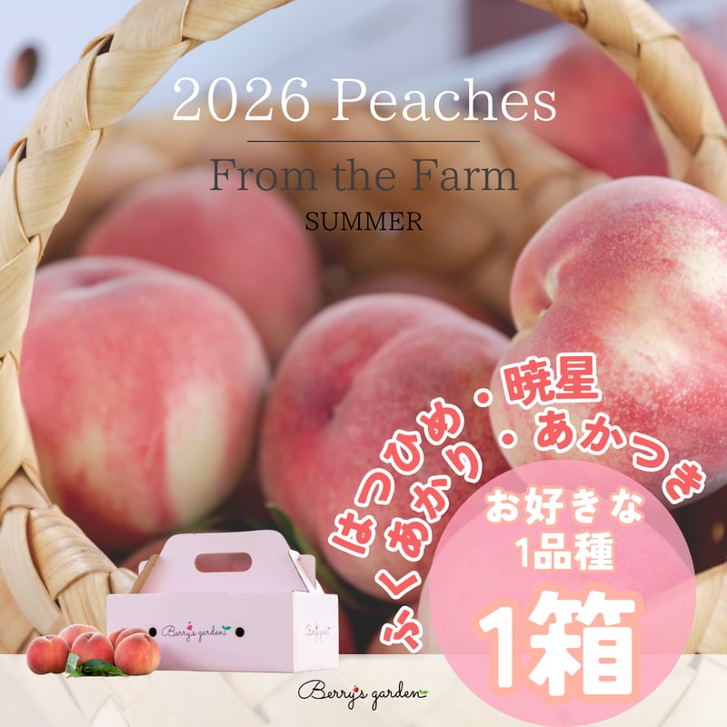 1種】もも2Kg箱／はつひめ・暁星・ふくあかり・あかつき【2026畑