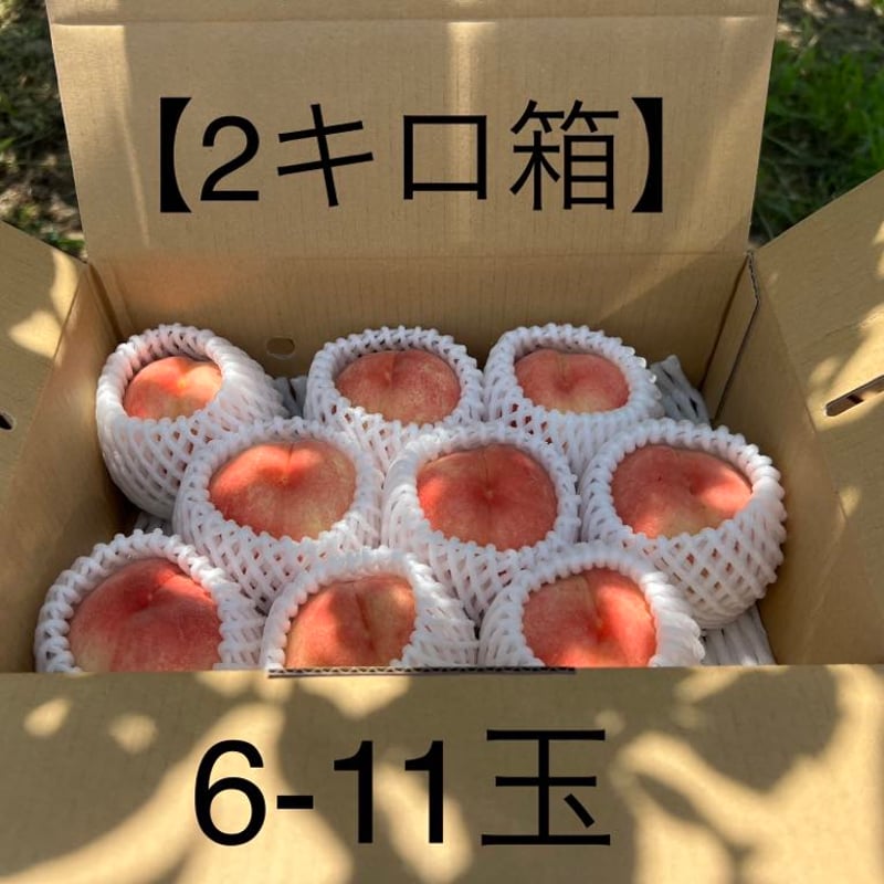 1種】もも2Kg箱／はつひめ・暁星・ふくあかり・あかつき【2025