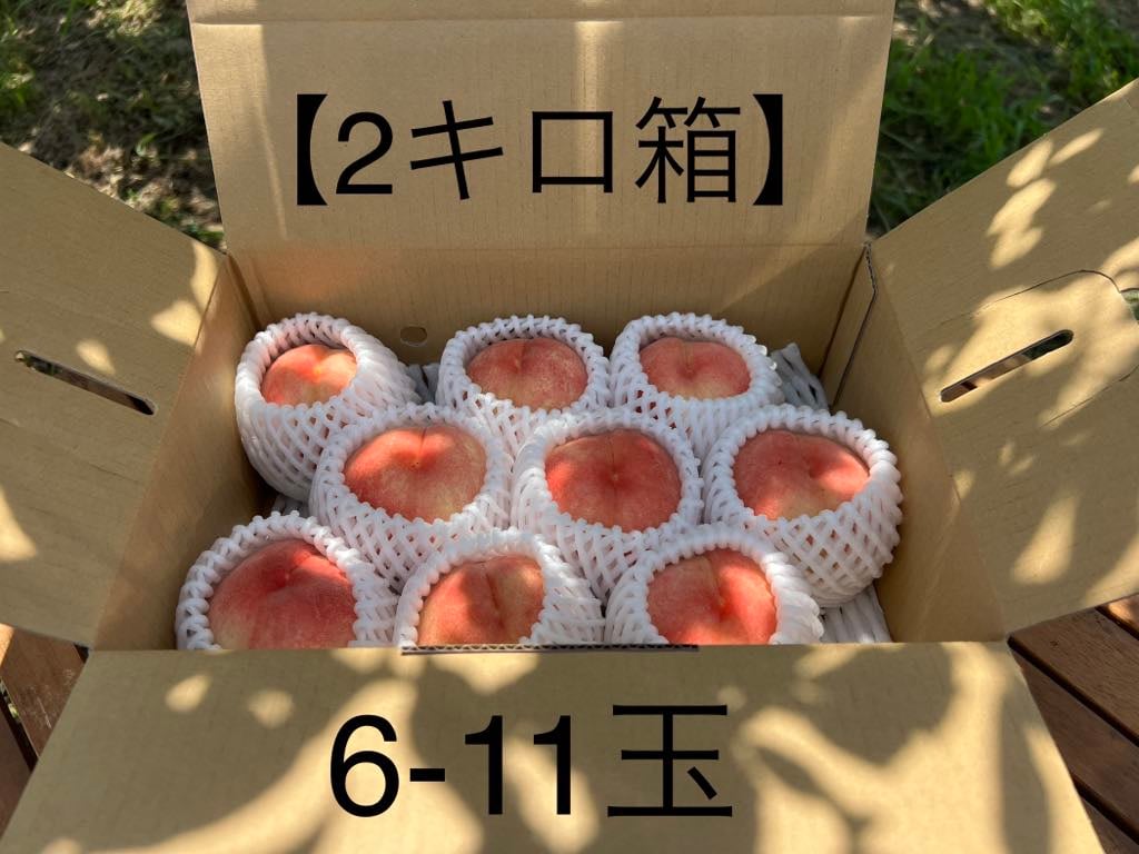 1種】もも2Kg箱／はつひめ・暁星・ふくあかり・あかつき【2026畑