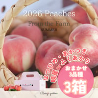 【もふまる 様】専用（赤360g）2袋★【リクエスト特割特価】 1種】もも2Kg箱／はつひめ・暁星・ふくあかり・あかつき【2026畑