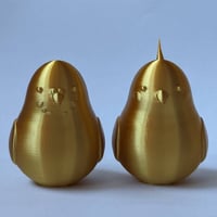 幸運を呼ぶ！金のインコさんセット（オカメインコさん・セキセイインコさん）