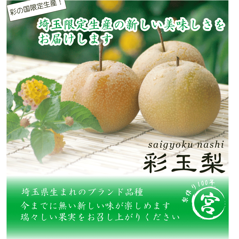 彩玉梨 さいぎょく 8/25~9/15頃 | 相川梨園-stores