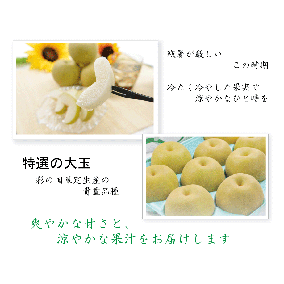 彩玉梨 さいぎょく 8/25~9/15頃 | 相川梨園-stores