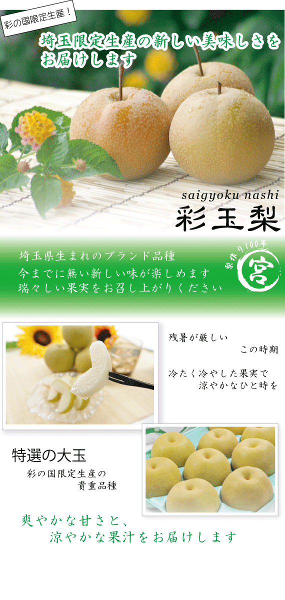 彩玉梨 さいぎょく 8/25~9/15頃 | 相川梨園-stores