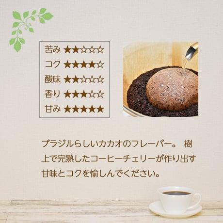 ブラジル　クィーンショコラ