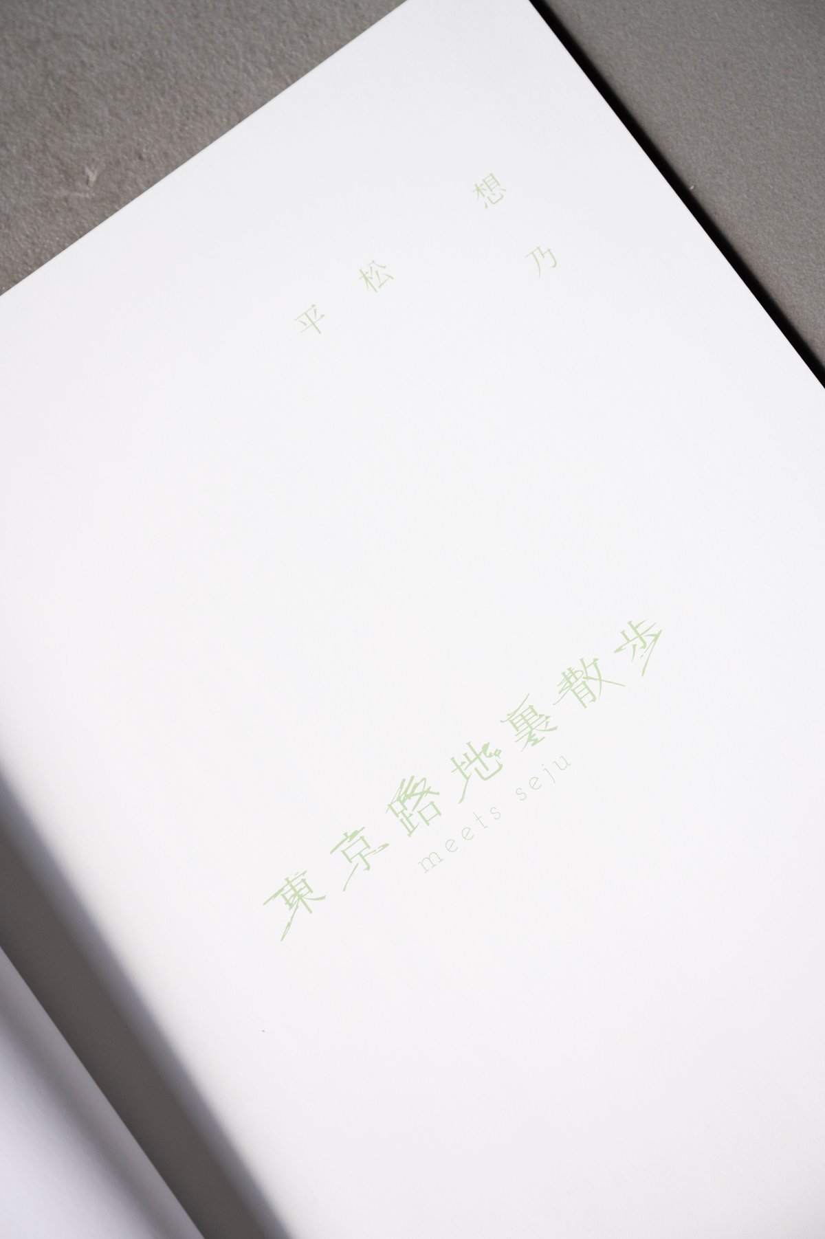 平松想乃 写真集「東京路地裏散歩 meets seju」 | ギローチェ