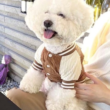 犬服 色違いアウター