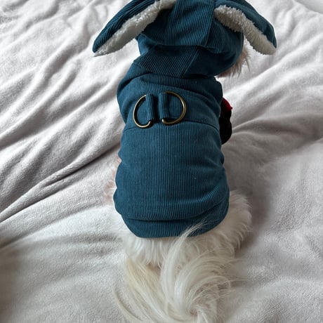 犬服 うさちゃんウェア