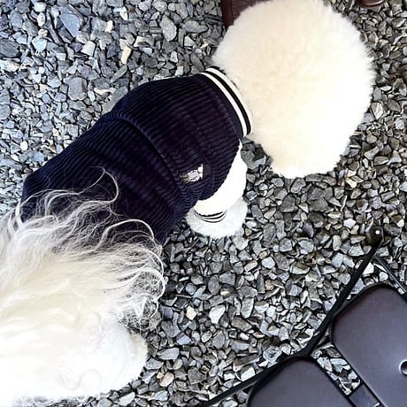 犬服 色違いアウター