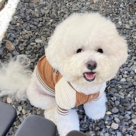 犬服 色違いアウター