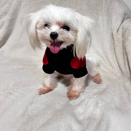 犬服 ハートワッペン プルオーバー