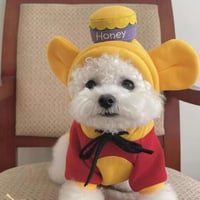 犬服 ハニーbox パーカー