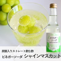 ビネガーソーダシャインマスカット(250ml)　※炭酸入りストレートタイプ