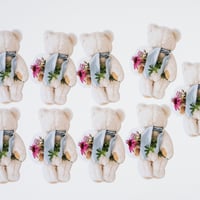 APRIL DREAM TEDDY
