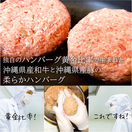 柔らかハンバーグ (100g×10枚)