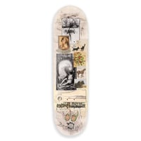 PASS~PORT & MAY GIBBS MG DECK 8.25inch
