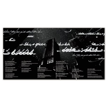 HOLE AND HOLLAND (ホールアンドホーランド) J.A.K.A.M. / ASTRAL DUB WORX LP