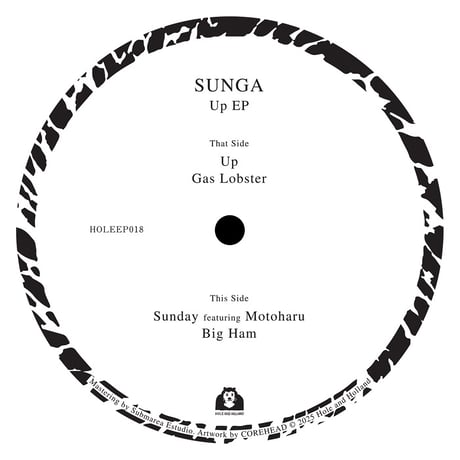 HOLE AND HOLLAND SUNGA - Up EP Vinyl