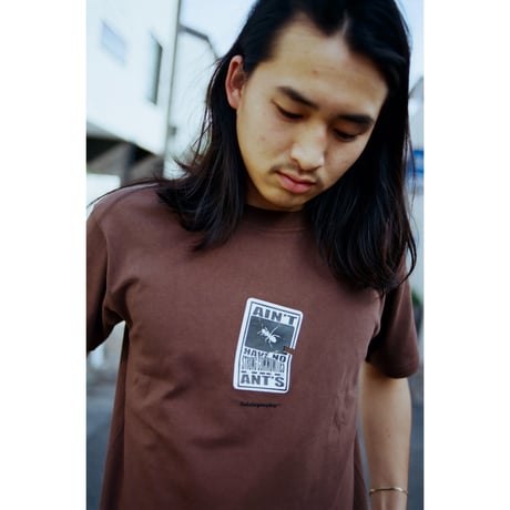 LIDAIRPEAKS ANT TEE Brown