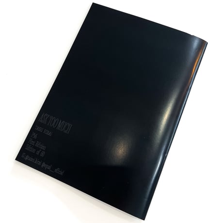 ASK TOO MUCH -TAISEI HIRAI- ZINE