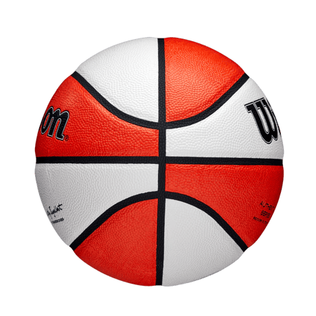 Wilson　WNBA AUTH INDOOR OUTDOOR BSKT　６号
