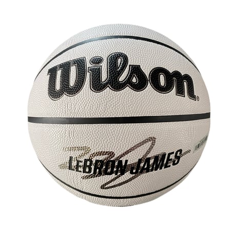 Wilson　NBA PLAYER ICON UV BSKT　７号