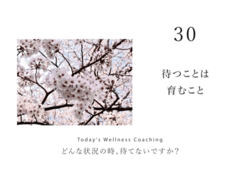 加倉井さおりの勇気づけのいのち育て日めくりカレンダー