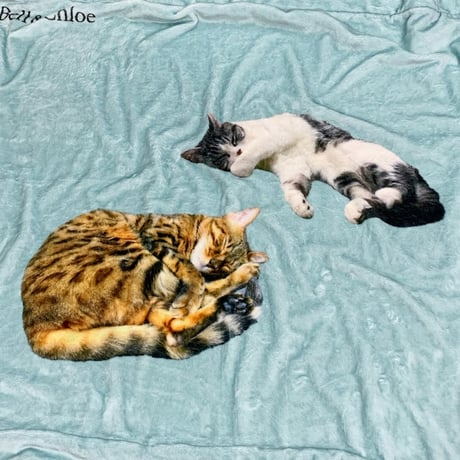 B&C Blanket【Green】