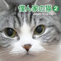 写真集『僕ん家の猫 2』