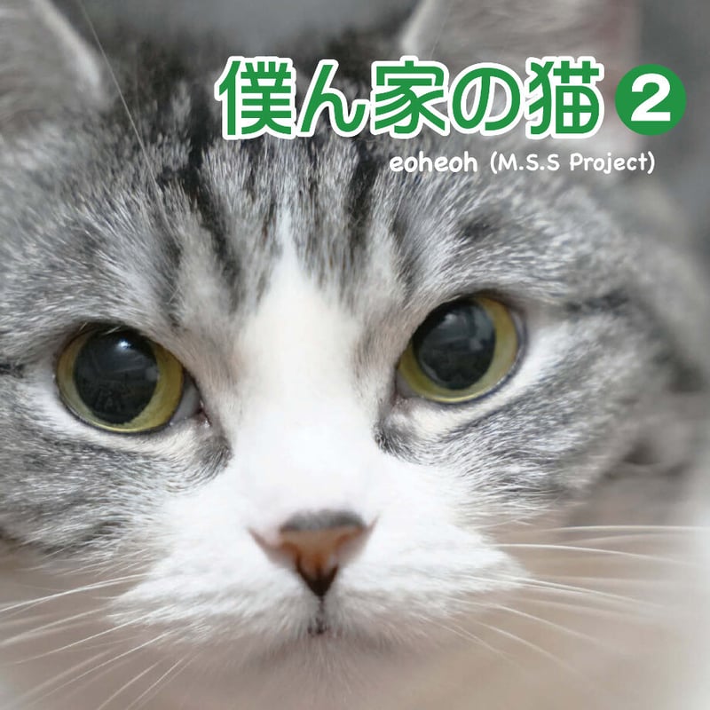 写真集『僕ん家の猫 2』 | Bell&Chloe STORE